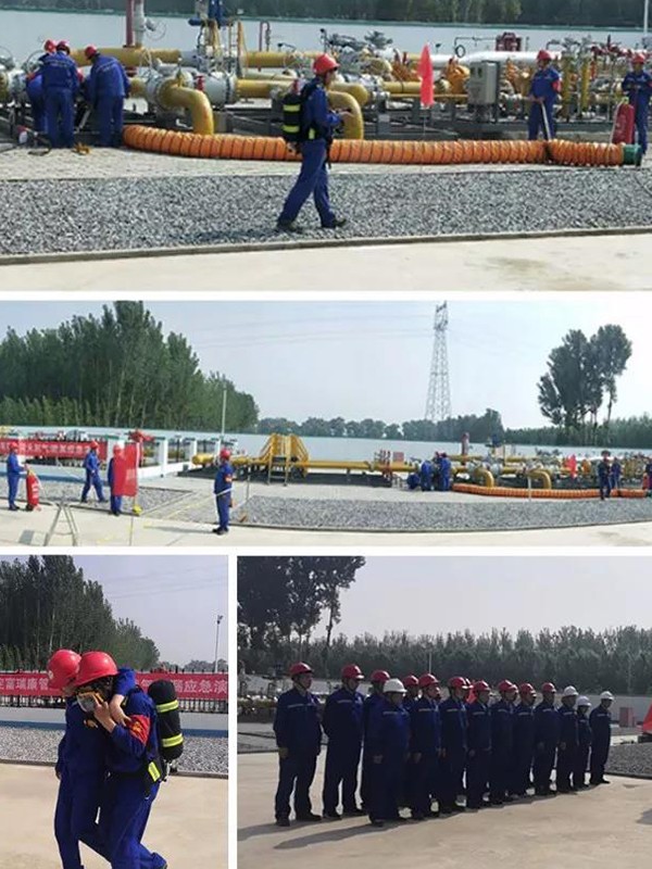 10.jpg 10.jpg